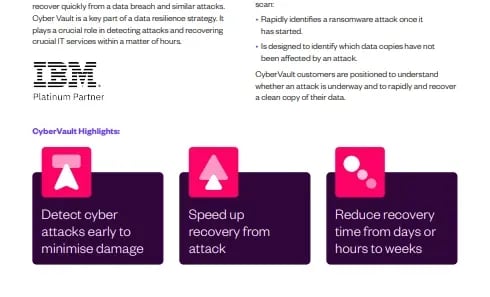 ibm-cybervault-front-page-