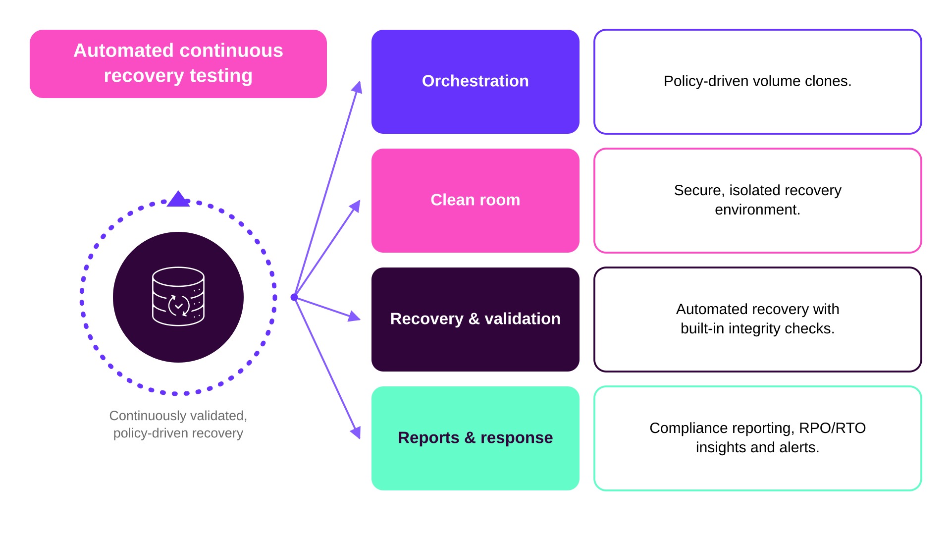 copyassure-recovery-testing-diagram_3 copyassure-recovery-testing-diagram_3
